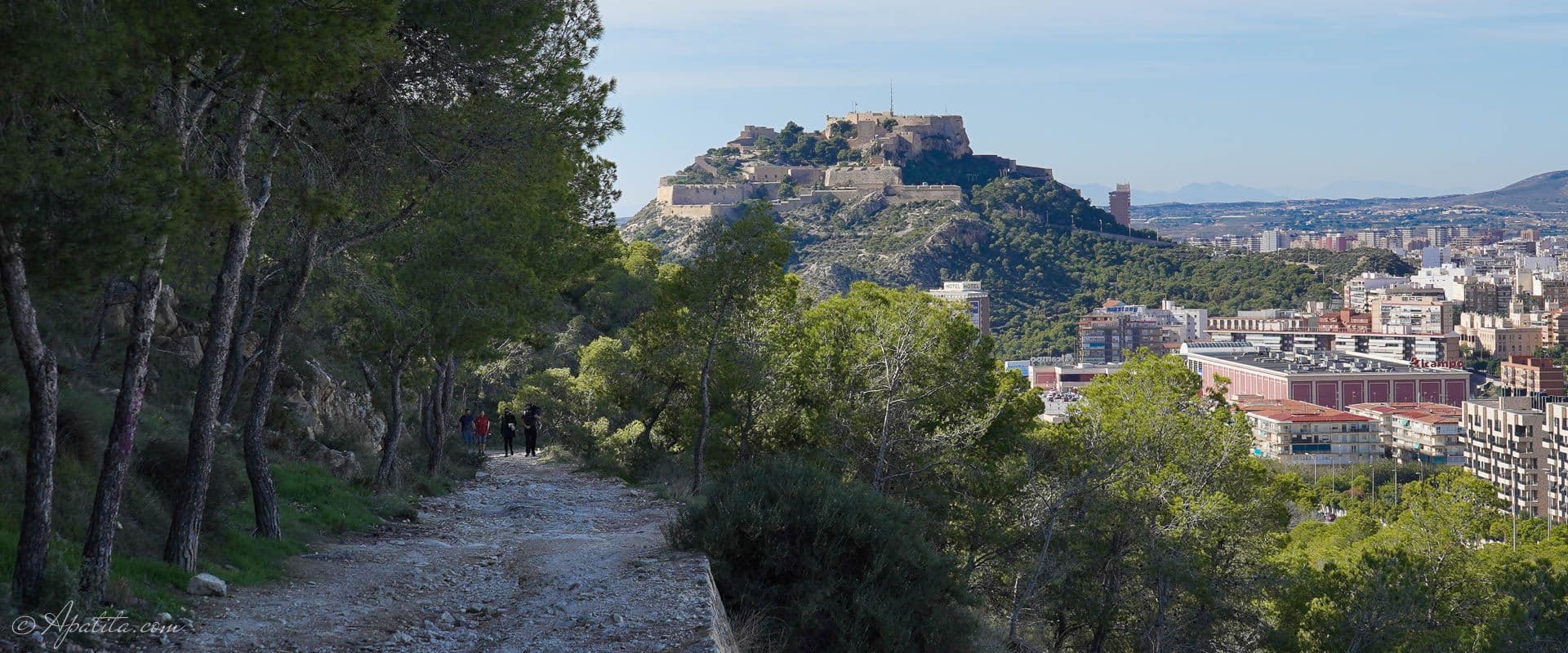 Alicante from the heights: a natural viewpoint without leaving the city