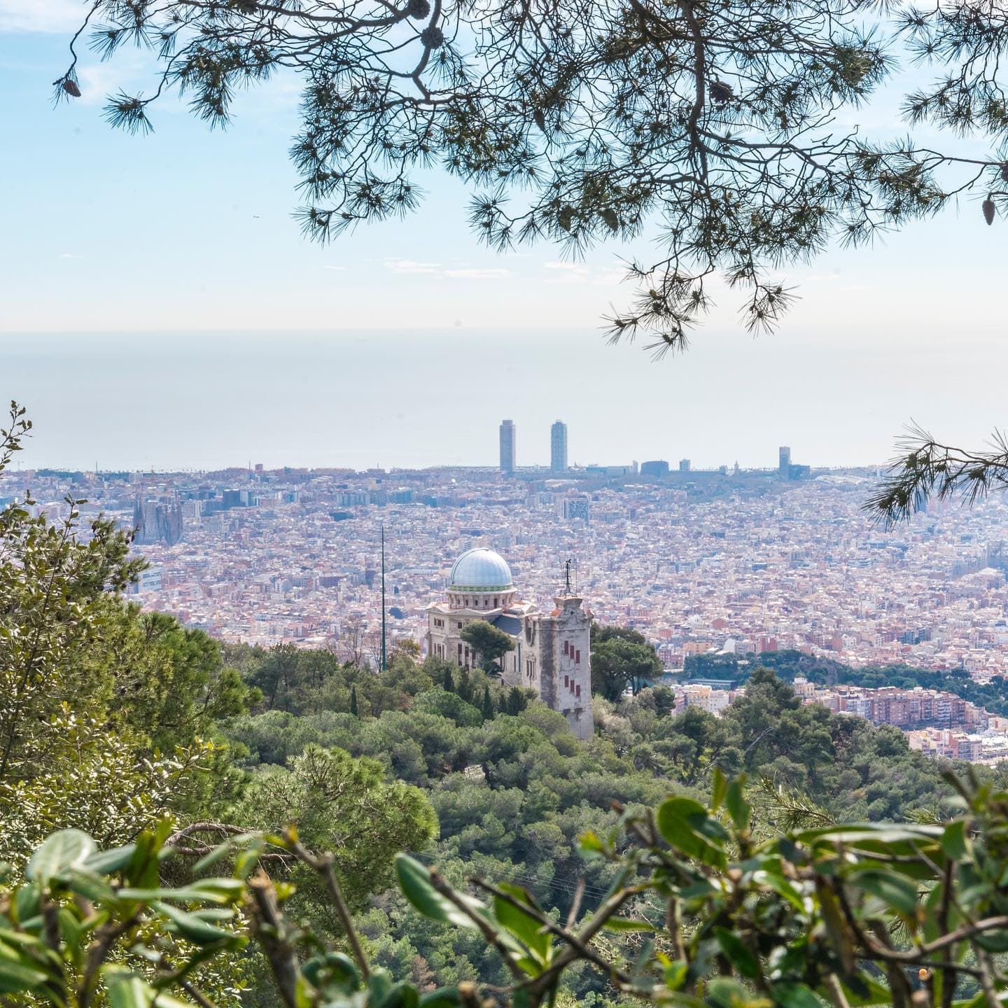 Dinner under the stars: a unique experience at the Fabra Observatory