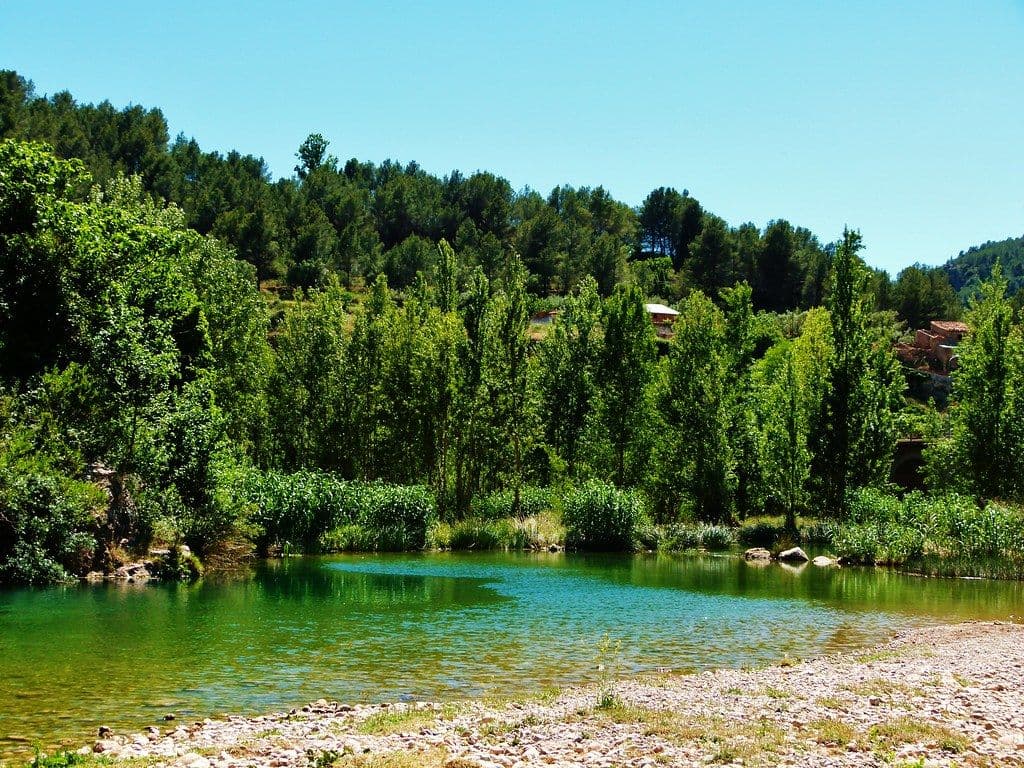 The Basement nos transporta al paraíso con su nuevo evento “Días de Campo”