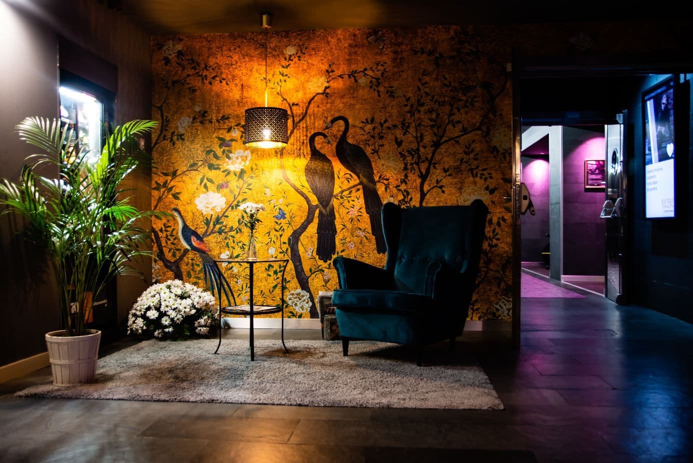 Tu nuevo yo te espera en O2 Centro Wellness