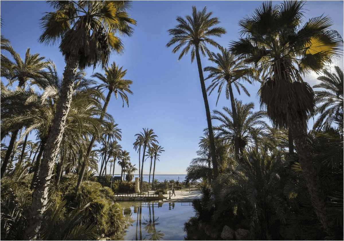 Sport with sea views: that's the new El Palmeral park in Alicante