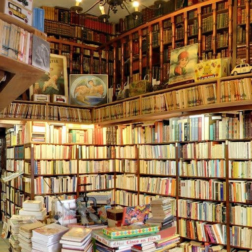 5 different bookshops in Alicante for book lovers