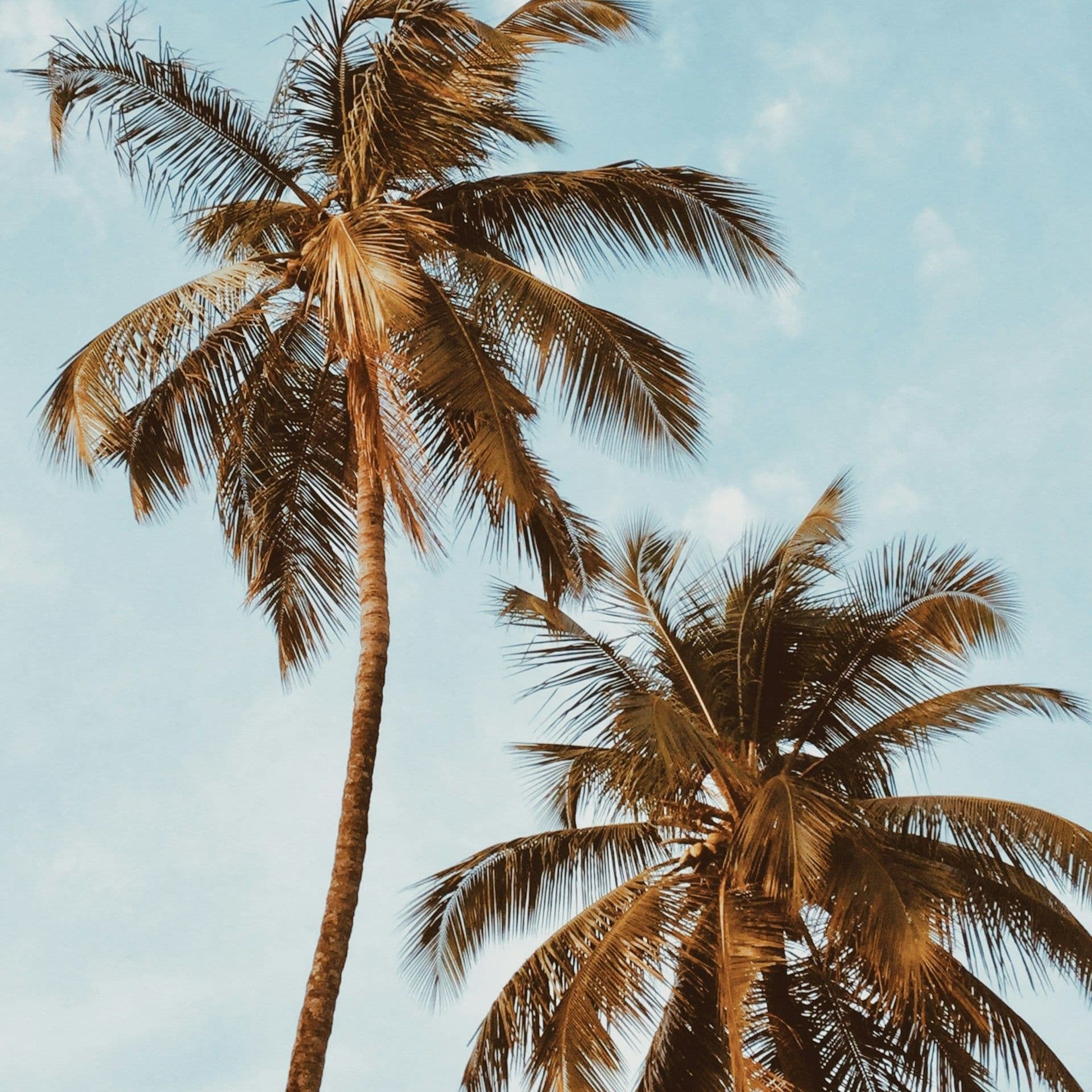 Networking in a restaurant? This business meeting combines business with gastronomy.