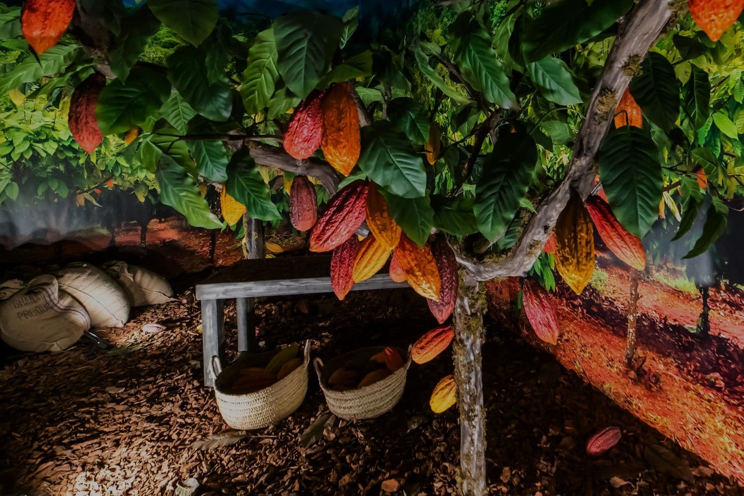 El museo más delicioso de Valencia: descubre el viaje del chocolate