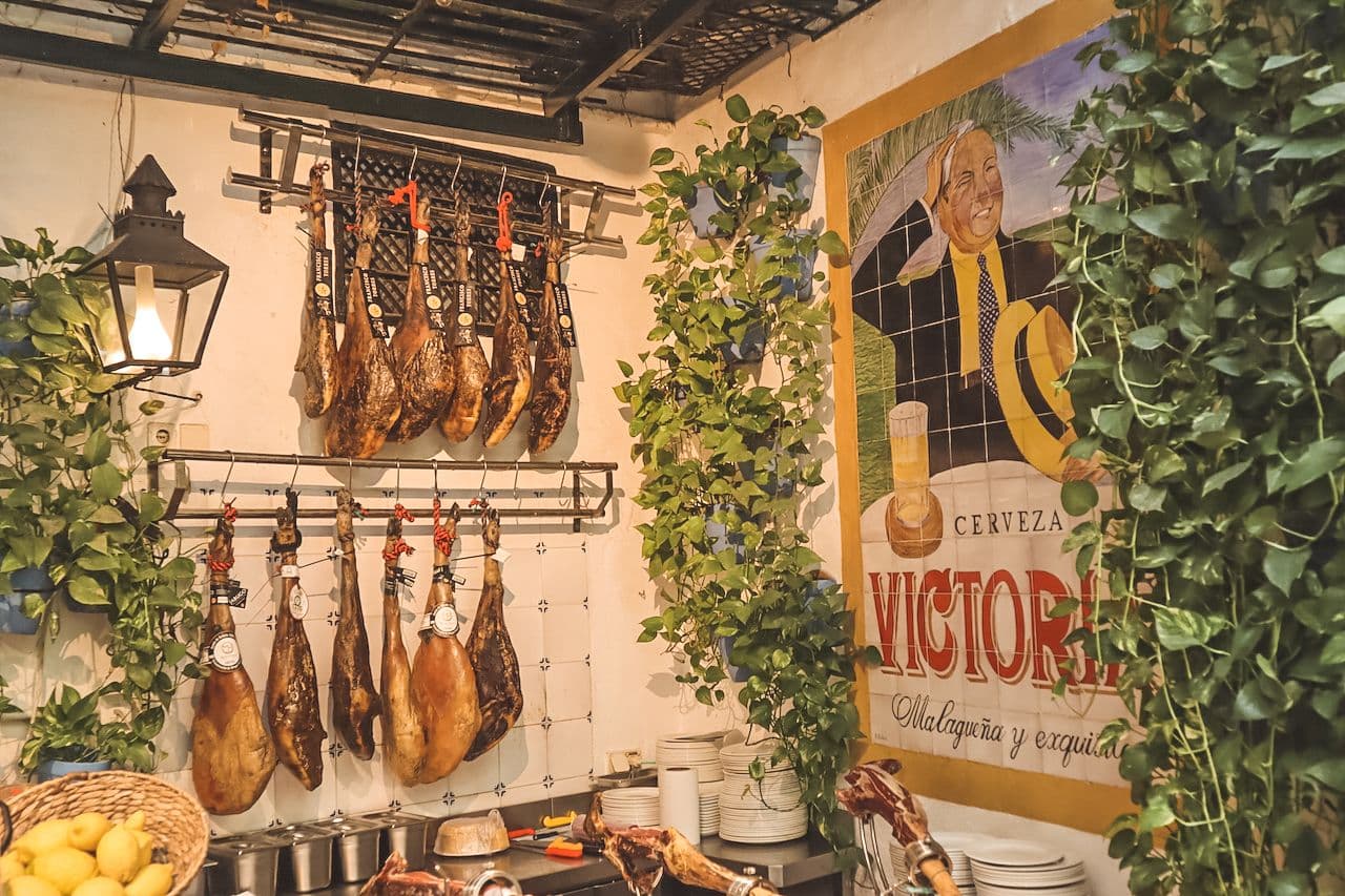 Cultural route through the Soho district of Malaga