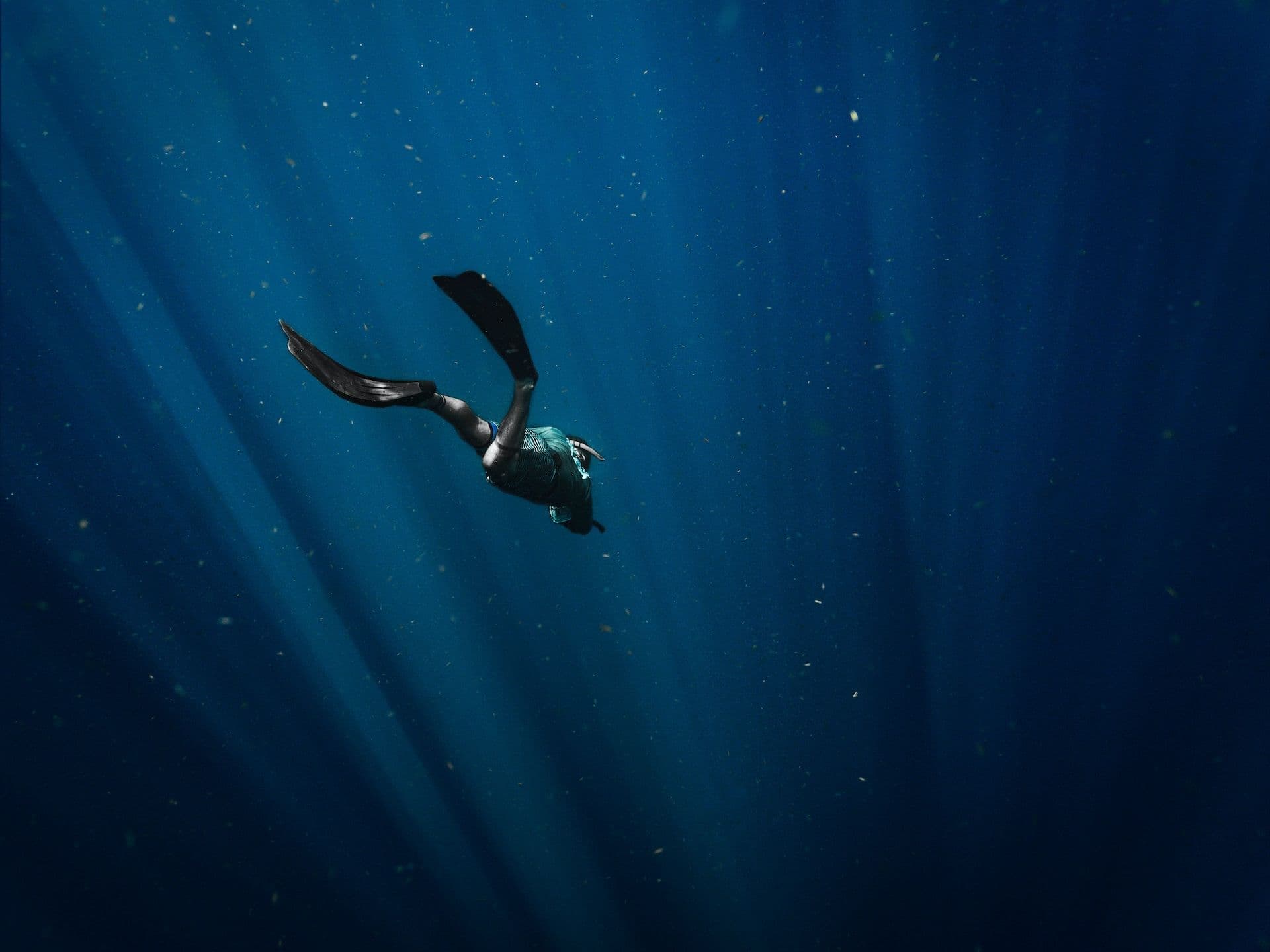 Eco&Dive: the diving experience in Malaga to discover the depths of the sea.