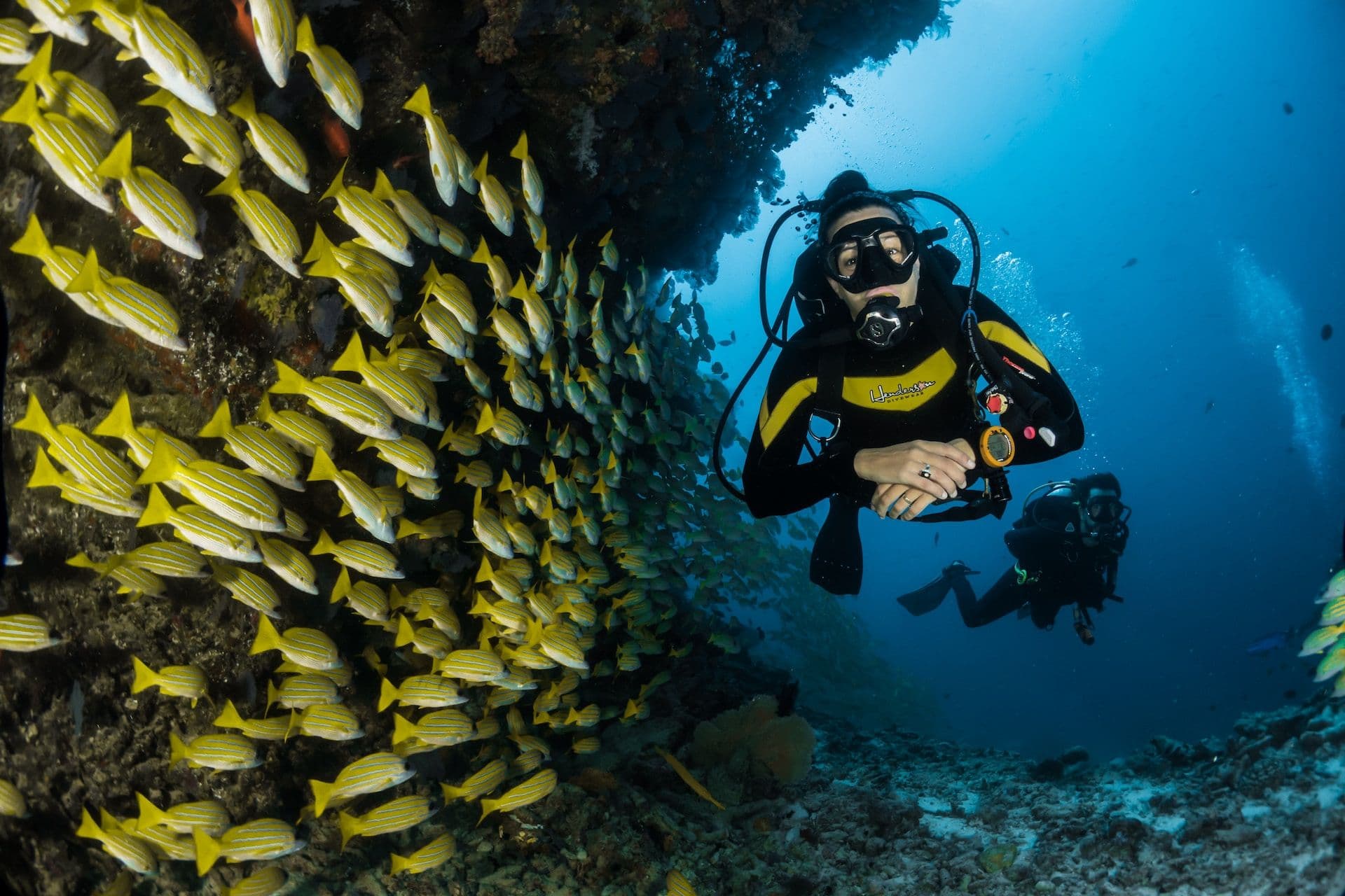 Eco&Dive: the diving experience in Malaga to discover the depths of the sea.